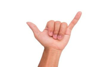 音乐活动手指歌教案6篇