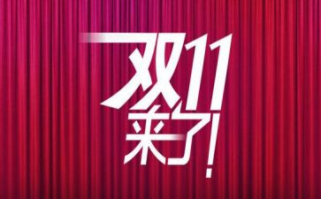 双11客服心得体会6篇