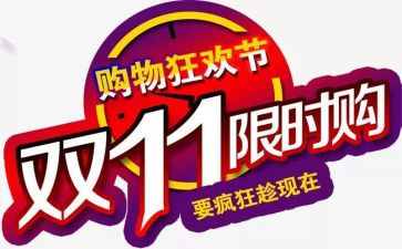 关于双11调查报告范文5篇