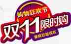 关于双11调查报告范文5篇