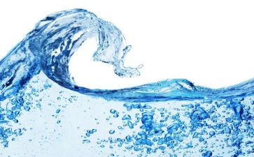 水果采购合同8篇
