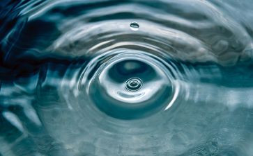 水质调查报告7篇