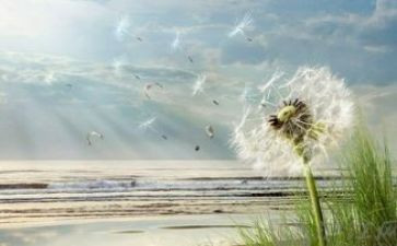 关于顺与逆的演讲稿600字6篇