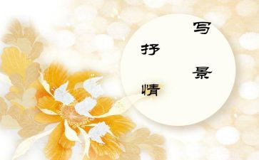 桥抒情作文模板6篇