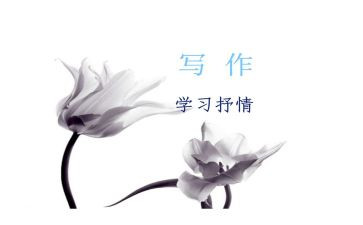 以物抒情的作文600字模板7篇