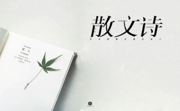 作文抒情600字初中作文5篇