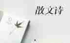 作文抒情600字初中作文5篇