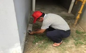 幼儿园除四害工作计划6篇