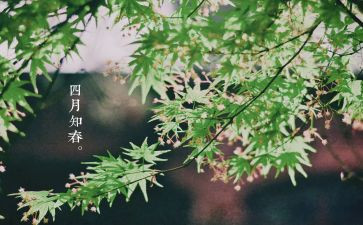 四月幼儿园安全工作总结6篇