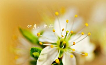 闰四月工作计划推荐8篇