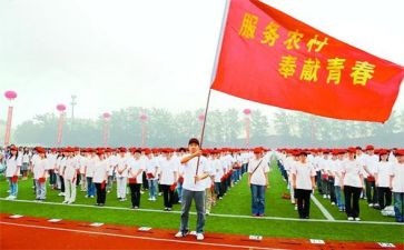 特岗教师述职报告推荐8篇