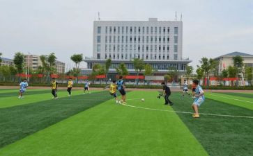 中学体卫艺工作计划5篇