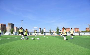 体卫室工作计划通用8篇