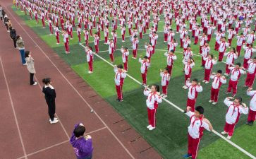 幼儿园体育活动钻教案模板6篇