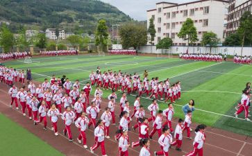 写体育活动的心得体会6篇