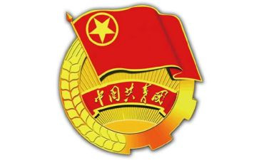 村团支部述职报告6篇