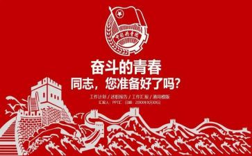 团组织工作的心得体会6篇