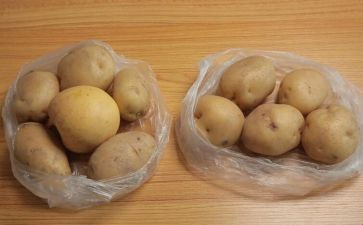 种土豆作文7篇