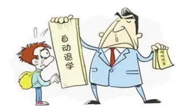 劝退学申请书优秀6篇