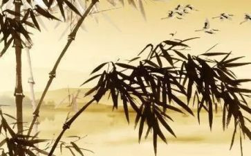 用植物托物言志的作文6篇