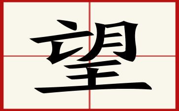总结2024展望2024作文600字5篇