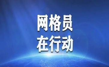 乡镇网格工作总结6篇