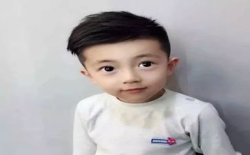 小王子的读书心得模板7篇