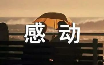 感动中国人物事迹材料模板6篇