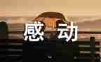 2024感动中国张桂梅心得体会8篇