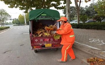 个人环卫工作年度总结8篇