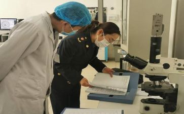 卫生室的工作总结模板5篇
