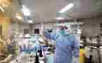 卫生院院长述职报告范文5篇