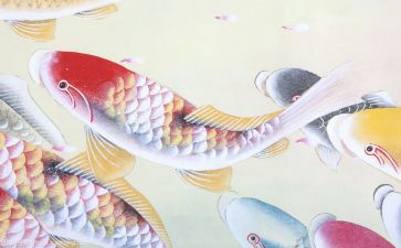 闽学文化心得体会模板5篇