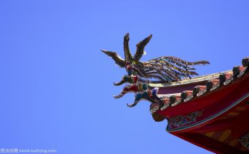 文化月活动总结参考7篇