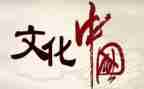 开展文化月活动总结5篇