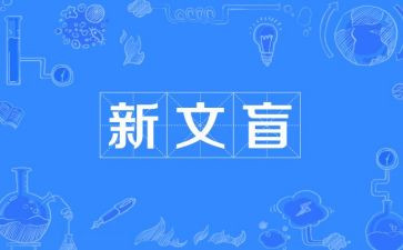 假文盲的读后感7篇
