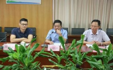 真语文培训总结最新8篇