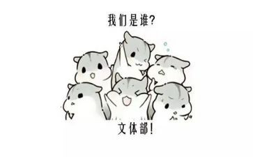 文体部的月总结5篇
