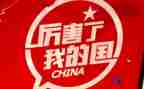 我的国我的家作文800字作文推荐7篇