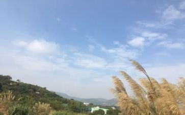 幼儿园大班我的一天教案7篇
