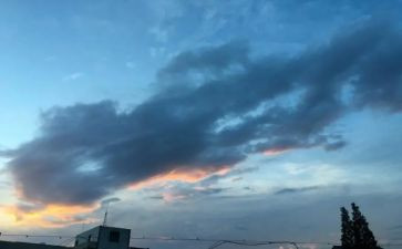 我的一天作文5篇