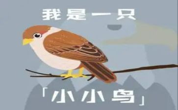 我想看一只小鸟的作文通用8篇