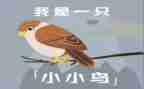 我想看一只小鸟的作文6篇