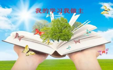 我做主作文7篇