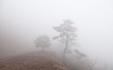 雾的孤儿读后感推荐6篇