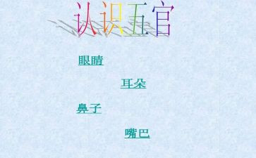 五官口的作文最新6篇