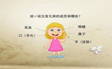五官作文最新5篇