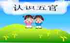 五官口的作文5篇