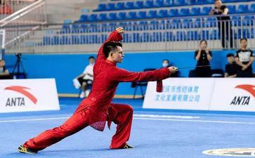 武术作文300字6篇