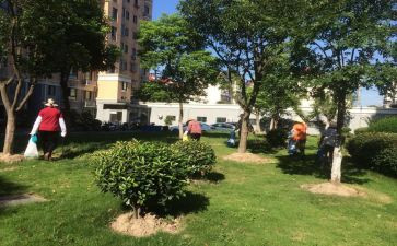 物业小区月工作计划5篇